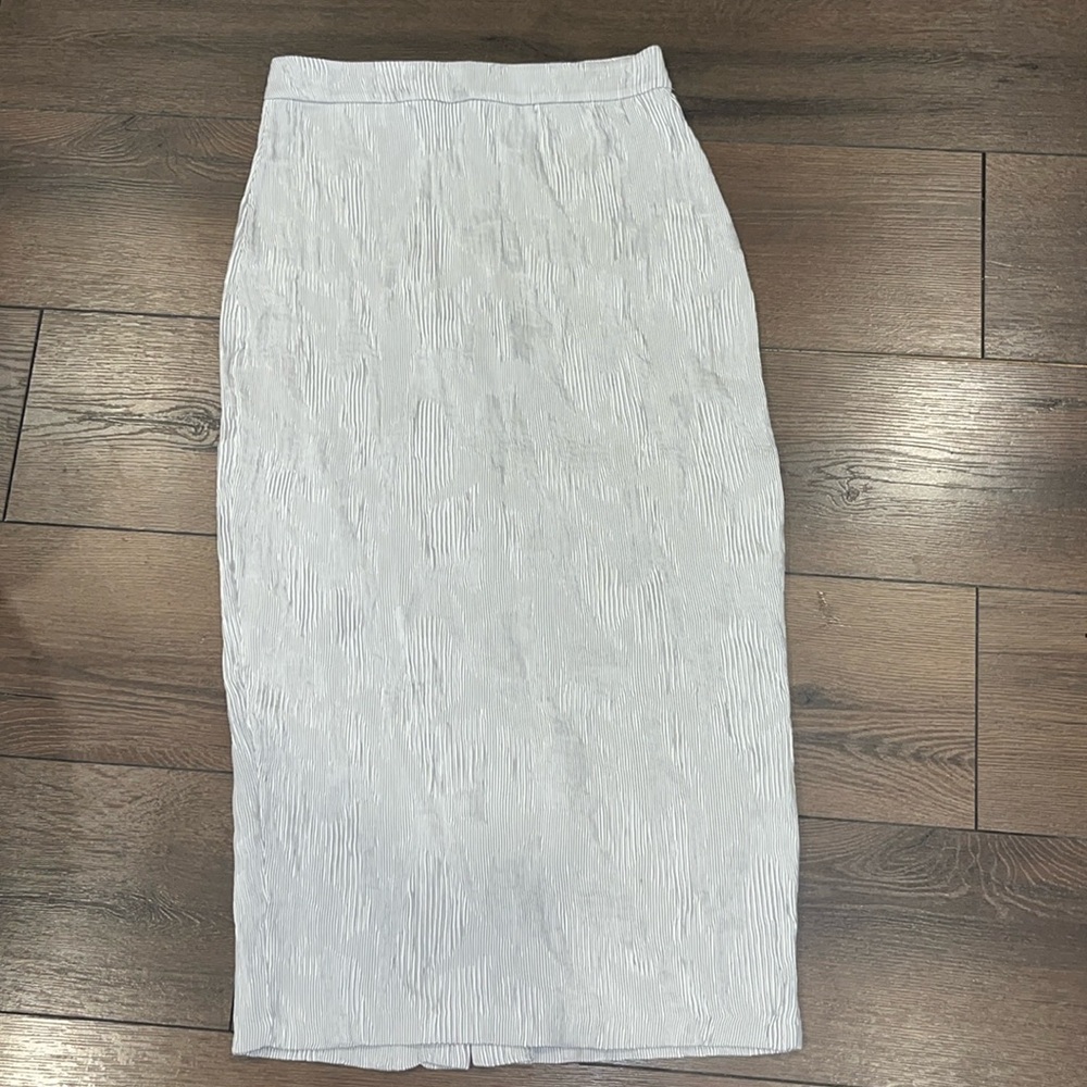 Woman’s Zara Skirt